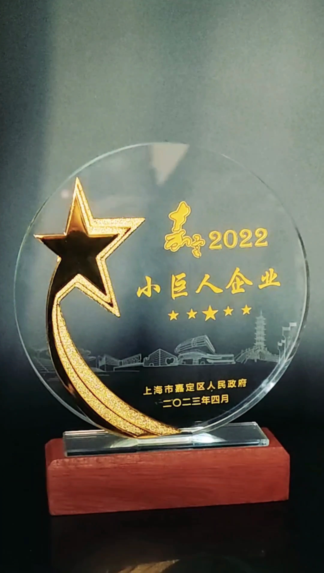 公司喜獲小（xiǎo）巨人企業和創新發展先鋒企業稱號