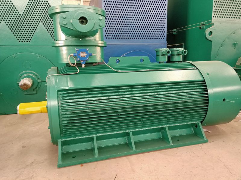 高壓防爆（bào）電機