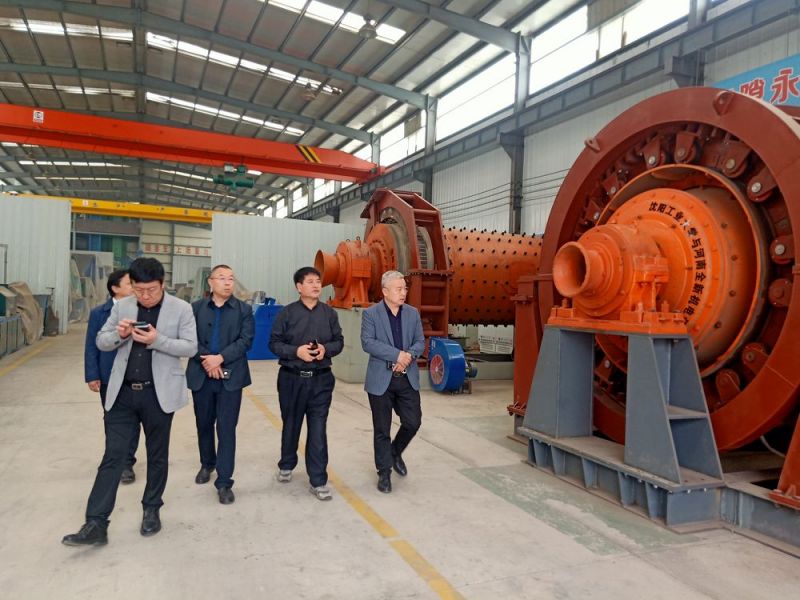 市領導來公司考察高低（dī）壓電機和永磁直驅球磨機